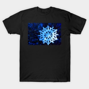 snowflake in blue 5 T-Shirt